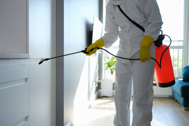 Best Mold Removal and Inspection  in Forest Hills, TN